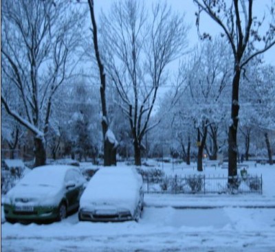 parc.jpg