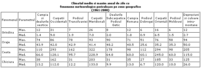 fenom.png