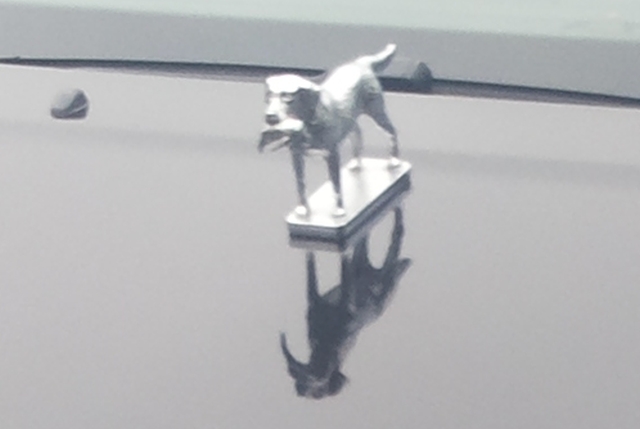 20141116_122018 a.jpg