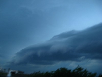 IMG_1961.jpg