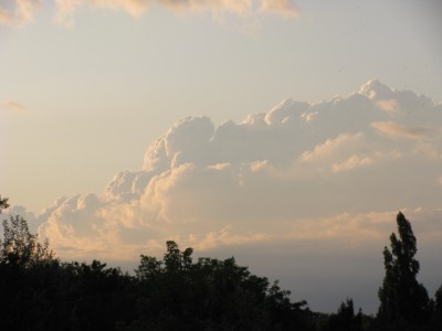 Picture 108.jpg