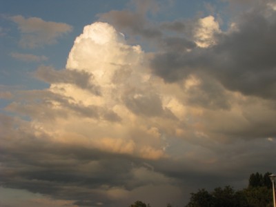 Picture 107.jpg