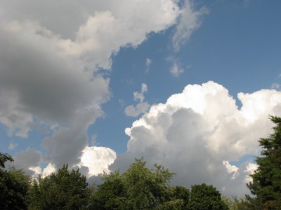 Picture 100.jpg