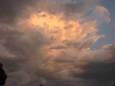 Picture.jpg