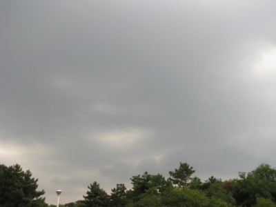 Picture 118.jpg