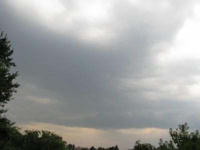 Picture 117.jpg