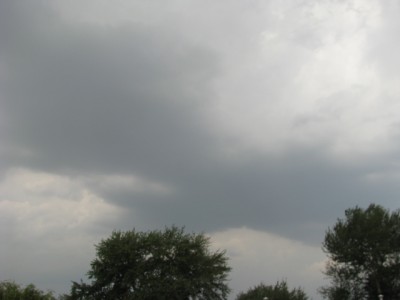 Picture 116.jpg