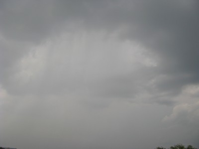 Picture 115.jpg