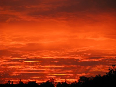 cer  incandescent.jpg