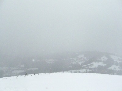 Picture 021.jpg