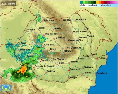 mradar (1).jpeg