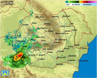 mradar (2).jpeg