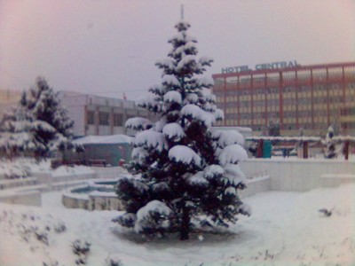 Foto(10).jpg