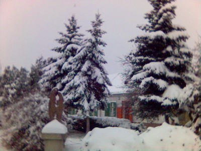 Foto(14).jpg