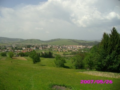 16733956.jpg
