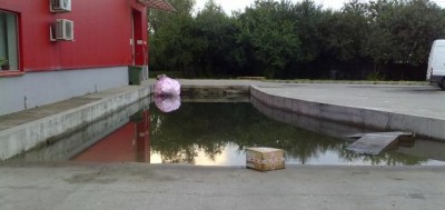 09082010349.jpg