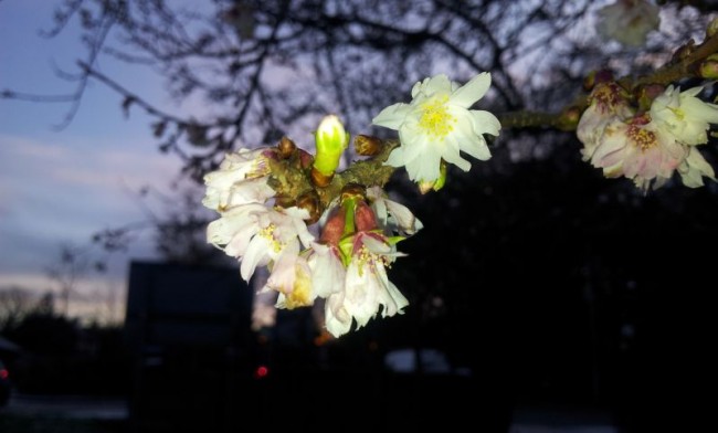 2011-12-14 08.33.33.jpg