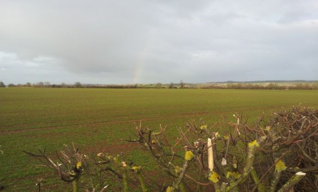 2011-12-20 10.07.27.jpg