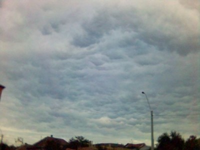 mammatus.jpg