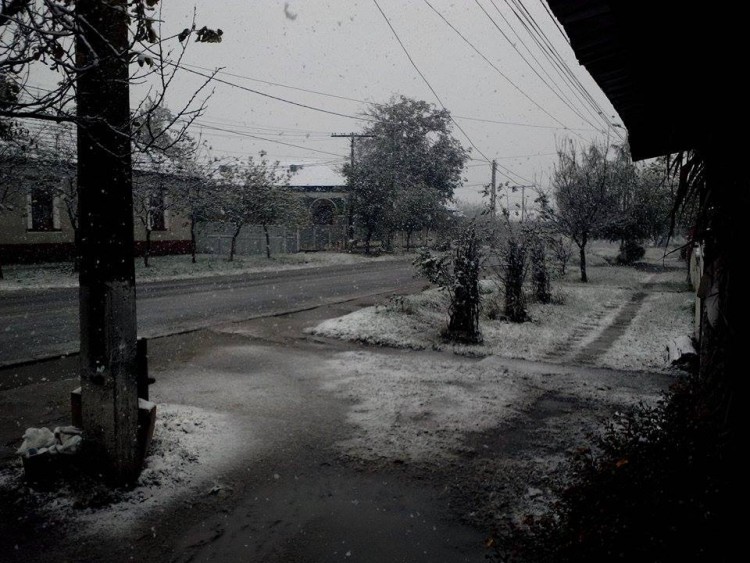 Snow1.jpg