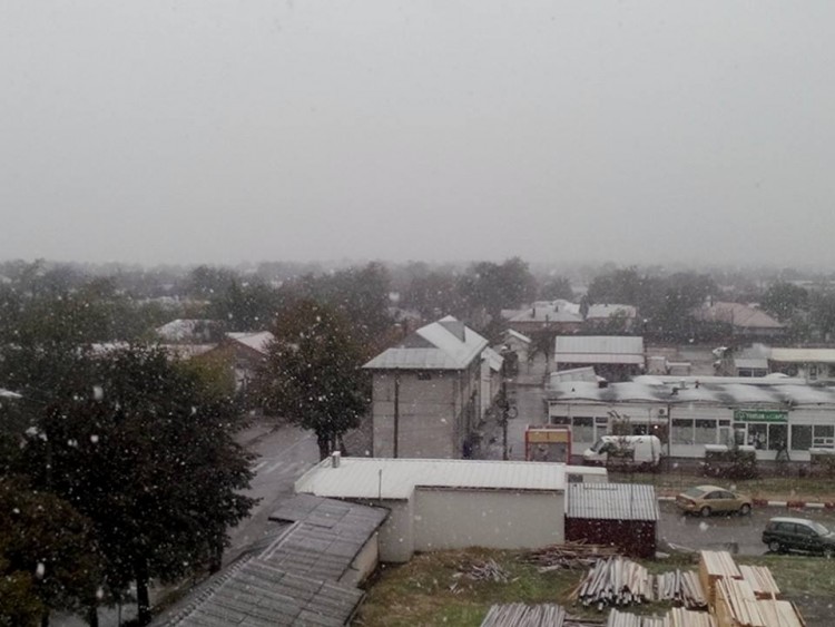 Snow2.jpg