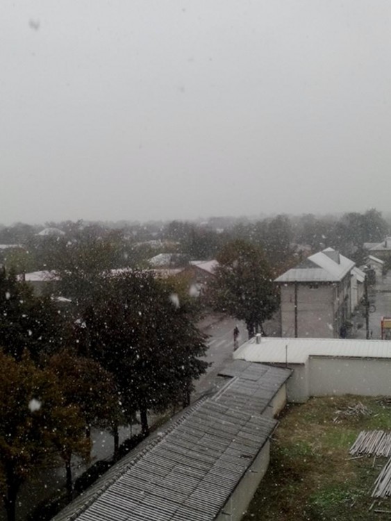 Snow3.jpg