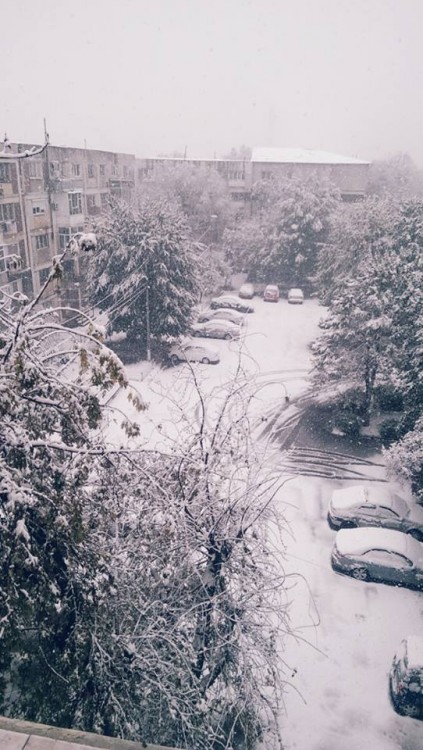 Snow4.jpg