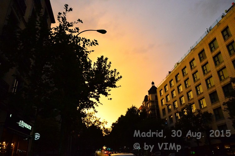 madmet006.jpg