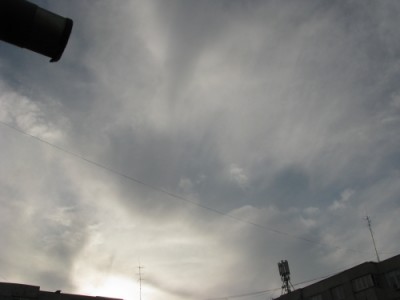 Nori cirrus- 7.02. 2009.jpg