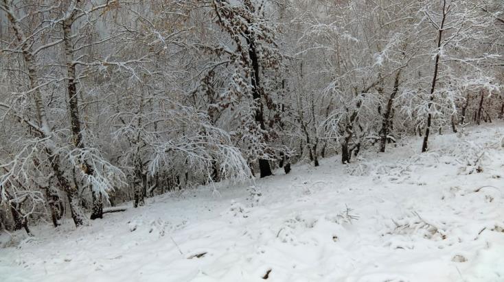 Resita_131116_05.jpg