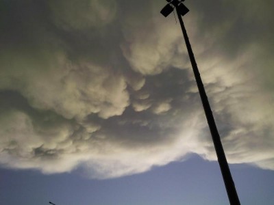 SP_A0210.jpg