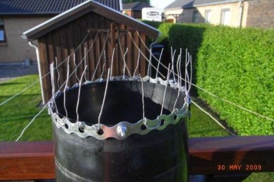 For Birds.jpg