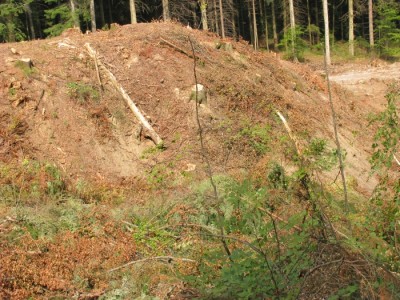 defrisare 1.jpg