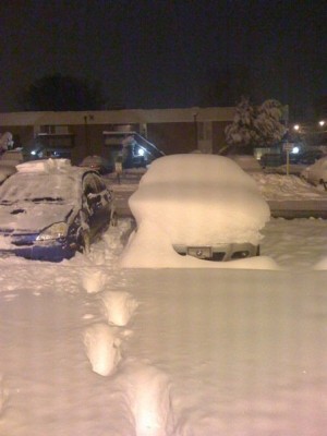 snow2.jpg