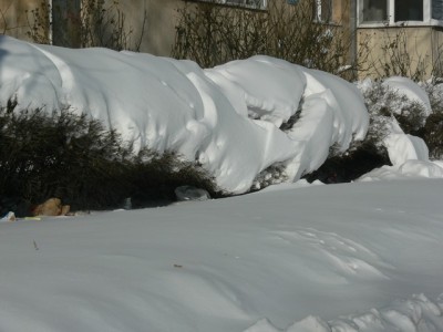 Image00002.jpg