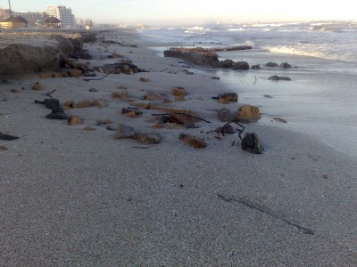 13022010149.jpg