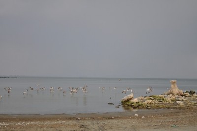 Image00006.jpg