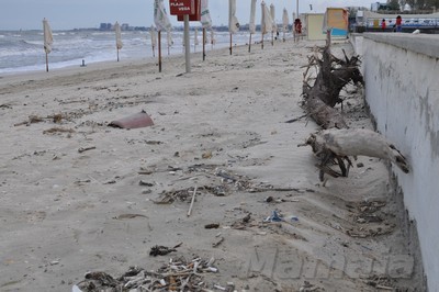 DSC_3711.jpg