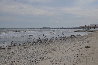 DSC_3752.jpg