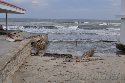DSC_3803.jpg