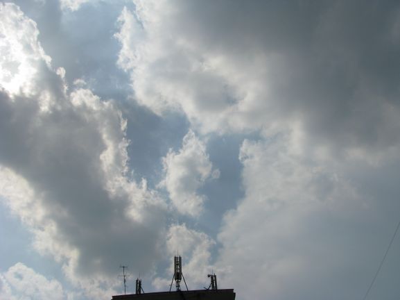 nori  care  s-au  dezvoltat  rapid-  28  mai.jpg