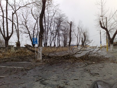 08032010207.jpg