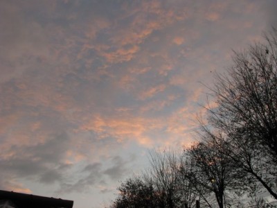 Altocumulus  lacunosus.jpg