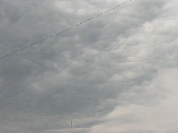 Picture 009.jpg