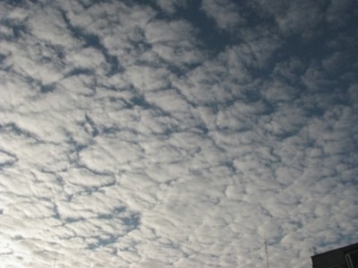 Altocumulus  stratiformis translucidus  perlucidus.jpg