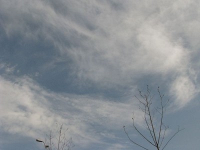Cirrus-   19. 12.  2008.jpg