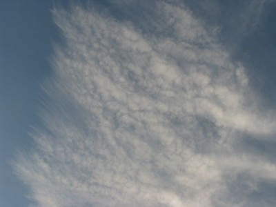 nori  cirrus- 24. 11. 2008.jpg