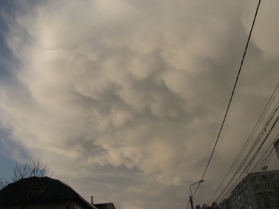Cumulonimbus  mammatus- 8  februarie.jpg