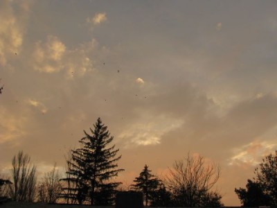 nori  stratocumulus-  ora 16. 24.jpg