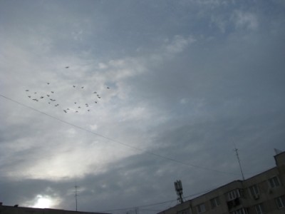 Norii-  11. 2. 2009.jpg